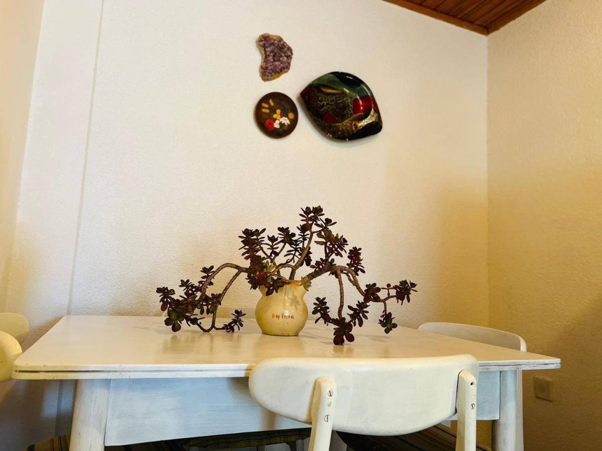 Sea Breeze Apartments With Private Beach And Boat Anchorage Stara Novalja Εξωτερικό φωτογραφία