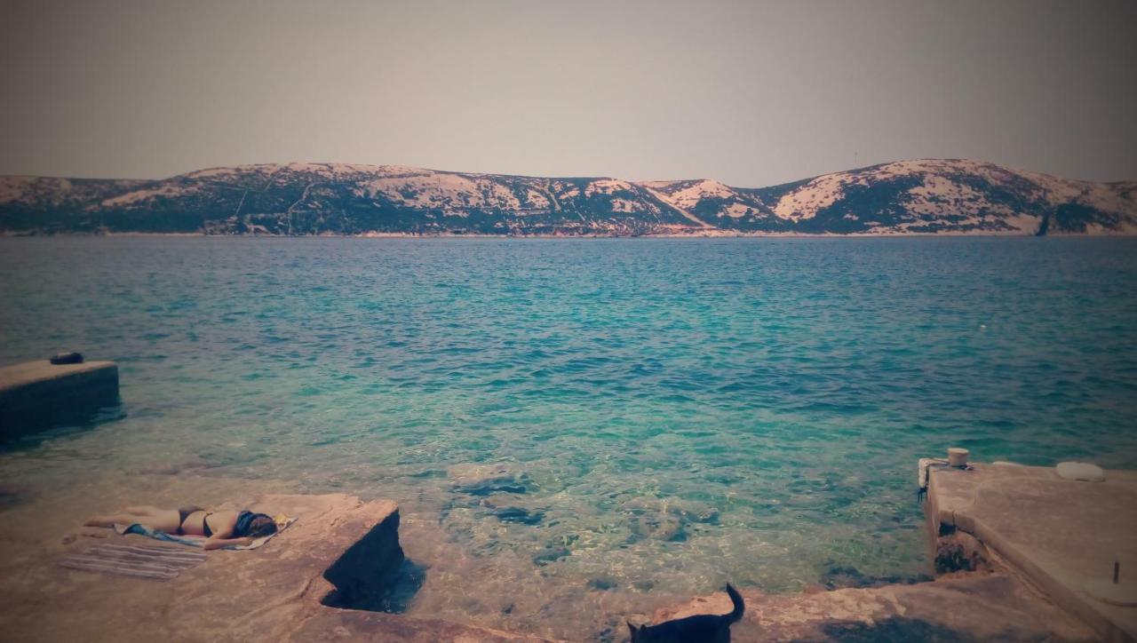 Sea Breeze Apartments With Private Beach And Boat Anchorage Stara Novalja Εξωτερικό φωτογραφία